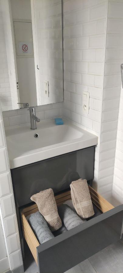 Logement Tout Confort Au Coeur De La Haute-Savoie - Le Barycentre La Roche-sur-Foron Exteriör bild