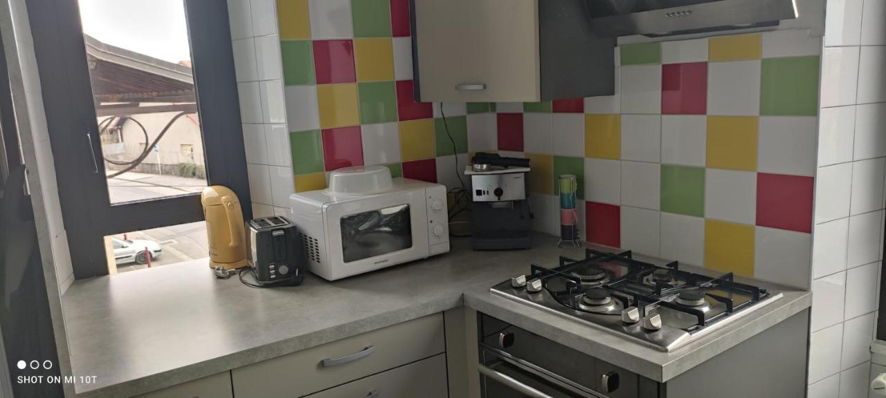 Logement Tout Confort Au Coeur De La Haute-Savoie - Le Barycentre La Roche-sur-Foron Exteriör bild